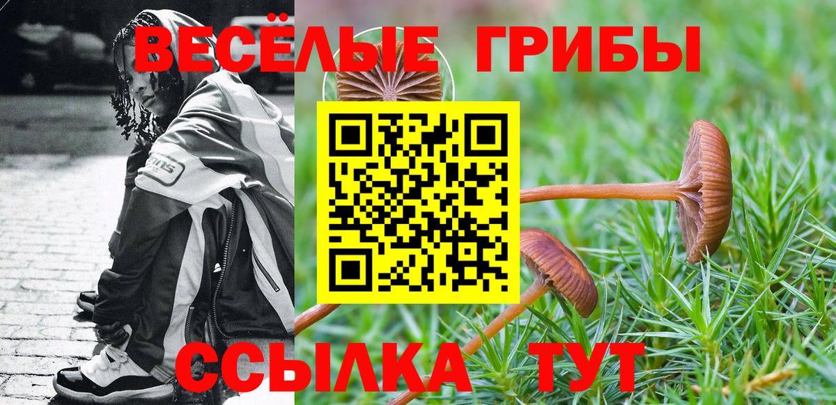 Псилоцибиновые грибы GOLDEN TEACHER Иваново